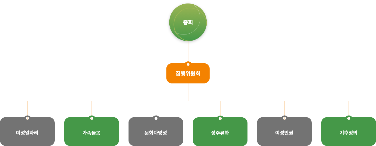 광주젠더포럼 조직도 (총회 아래로 집행위원회, 그 아래로 여성일자리/가족돌봄/문화다양성/성주류화/여성인권/기후정의 분과가 있다.)